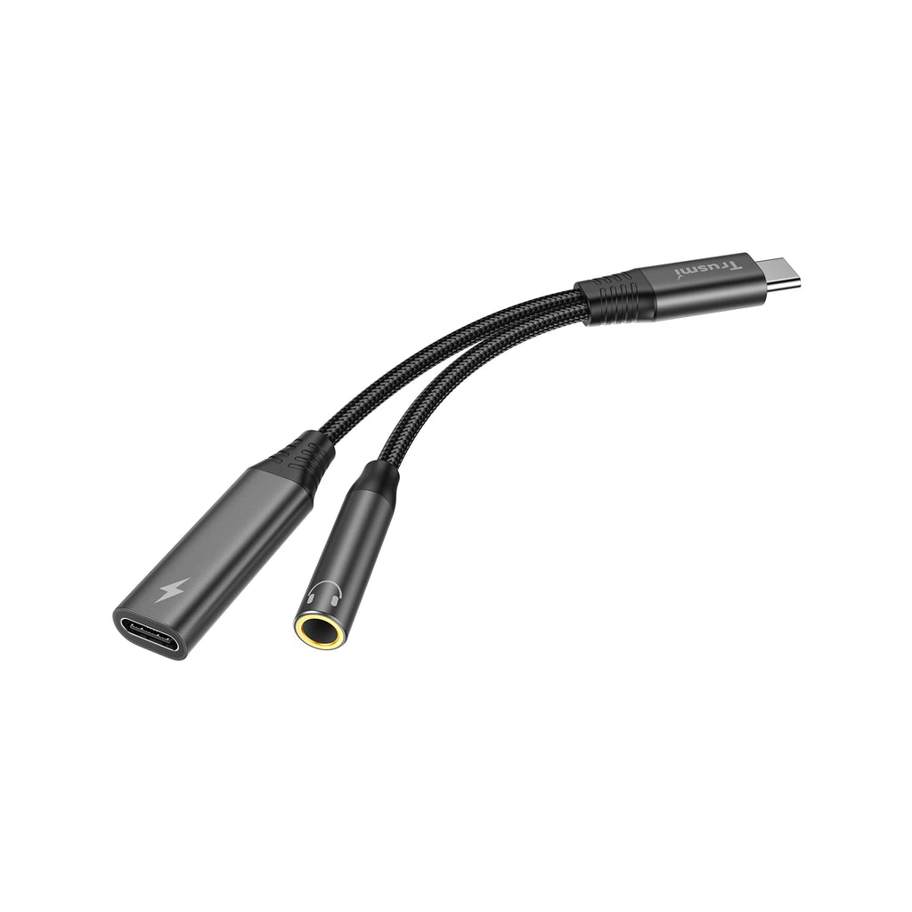 2-in-1 CC+3.5mm 4-Level Audio Female Adapter Cable